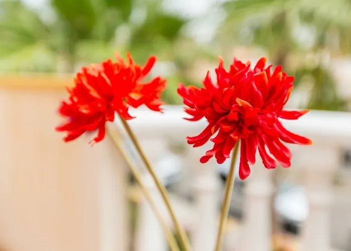 Cabo Roig Coco-mat *